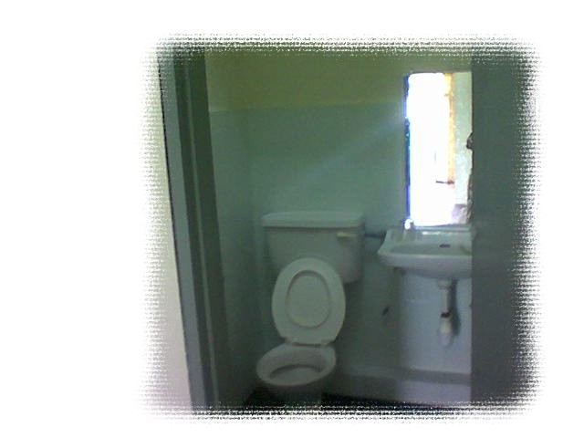 toiletweb.jpg